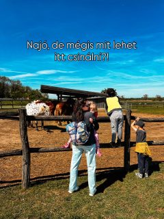Ausztria legnagyobb vidéki kastélybirtoka kifejezetten kisgyerekek számára is ideális ☀️reklám🌿🐐👑🐫

Lapozd végig a képeket, és te is eldöntheted, való lenne-e nektek ez a hely 🥰

Schloss Hof Ausztria egyik legszebb barokk kastélya és kertje, amit Savoyai Jenő herceg építtetett. Később Mária Terézia vásárolta meg, és a Habsburgok egyik legkedveltebb nyári rezidenciájává alakította.

Tavasszal a 70 hektáros terület virágba borul, és közben számos gyerekbarát program gondoskodik a szórakoztatásról.

Schloss Hof a határtól 45 percre van, Pozsonytól 30 perc, Győrtől 1 óra 20 perc, Budapesttől pedig 2 óra 40 perc autóval.

A belépés 6 éves korig ingyenes, és kapható családi jegy is.

Mentsd el későbbre, és töltsetek el egy élménydús napot a barokk pompa és fényűzés világában. ✨👸

#utazoanya #schlosshof #ausztriagyerekkel #ausztria #gyerekprogram