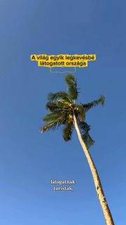 A világ egyik legritkábban látogatott országában jártunk 🇹🇴

Ez eddig a legegzotikusabb helyszín, ahova őszintén sosem gondoltam volna, hogy eljutok, nem hogy 3 gyerekkel 🥹

Emlékszem, mekkorát dobbant a szívem, amikor megvettem ide a repjegyeket. Egy ország, amiről semmit nem tudok.

Még az autóbérlés is kész komédia volt 😄 Végre egy hely, ami nem olyan, mint a többi. Itt nincs tömegturizmus, a legfőbb látnivalókhoz is elképesztő nehézkesen jutottunk el, az utak nem voltak megmunkálva a turisták kedvéért.

A legszebb tengerparton volt, hogy csak mi voltunk. Egy másik alkalommal rajtunk kívül egyetlen társaság piknikezett.

Örök hálával a szívemben fogok mindig arra gondolni, hogy eljuthattam Tongára. Volt egy őrült ötletem, és sikerült megvalósítanom 🙏🏼

#utazoanya #gyerekkelvagyok #utazás #tonga #utazzgyerekkel