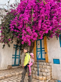 Kedvenc medinánk Tunéziában: Sousse 😍

📌 Mentsd el későbbre!

1988 óta az UNESCO világörökség része, és egyben Tunézia egyik legjobb állapotban fennmaradt óvárosa.

Az iszlám építészet korai korszakát tekinthetjük itt meg, és mi is ezt tettük, amikor a 3 gyerekkel egy délelőtt alatt bebarangoltuk.

Látnivalók Sousse medinájában:

🔹Ribat erőd: Észak-Afrika legrégebbi ilyen típusú építménye a 8. századból, és fel tudtunk menni a tornyába megcsodálni a kilátást a medinára és a kikötőre.
🔹Nagymecset: nekünk olyan szempontból csalódás volt, hogy belépőt kellett fizetnünk, de nem mehettünk be a mecsetbe, csak a térre, ami olyan volt mint egy erődítmény.
🔹Kasbah és Régészeti Múzeum: A medina legmagasabb pontján fekvő citadella ad otthont a múzeumnak, ahol a világ egyik legszebb római kori mozaikgyűjteményét láthatod. Mi itt találtunk ingyenes parkolót, de a múzeumba végül nem mentünk be.

Ebben a medinában igazán autentikus volt a hangulat, április elején alig találkoztunk turistákkal, zajlik az élet.

Nekem nagyon tetszettek a színes ajtók, a fehér falak és sikátorok.

Bár nem volt szerencsénk az idővel, még az eső is eleredt, mégis jól éreztük itt magunkat, és utólag ez a medina lett a kedvencünk.

A látogatást egy ebéddel zártuk, ugyancsak egy autentikus helyen, ahol angolul se tudtak, étlap se volt, csak próbáltam elmondani hogy 4 főételt kérünk “tipikus helyi kajákkal”.

Ha a környéken jársz, mindenképp fedezd fel ☺️

#utazoanya #sousse #soussemedina #tunéziagyerekkel #gyerekkelvagyok