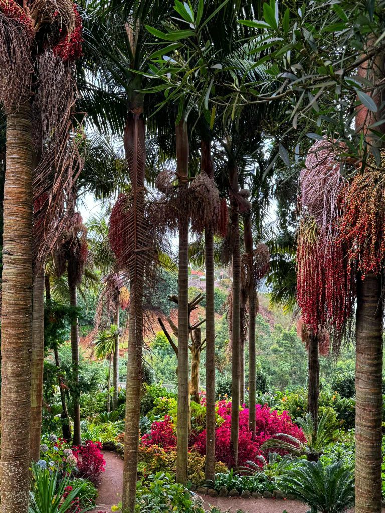 Monte Palace tropical garden Madeira Funchal látnivalók gyerekkel családdal