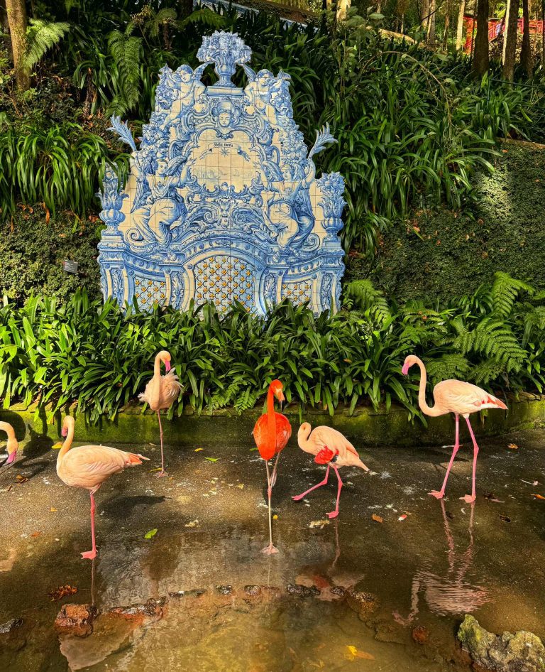 Monte Palace tropical garden Madeira Funchal látnivalók gyerekkel flamingó