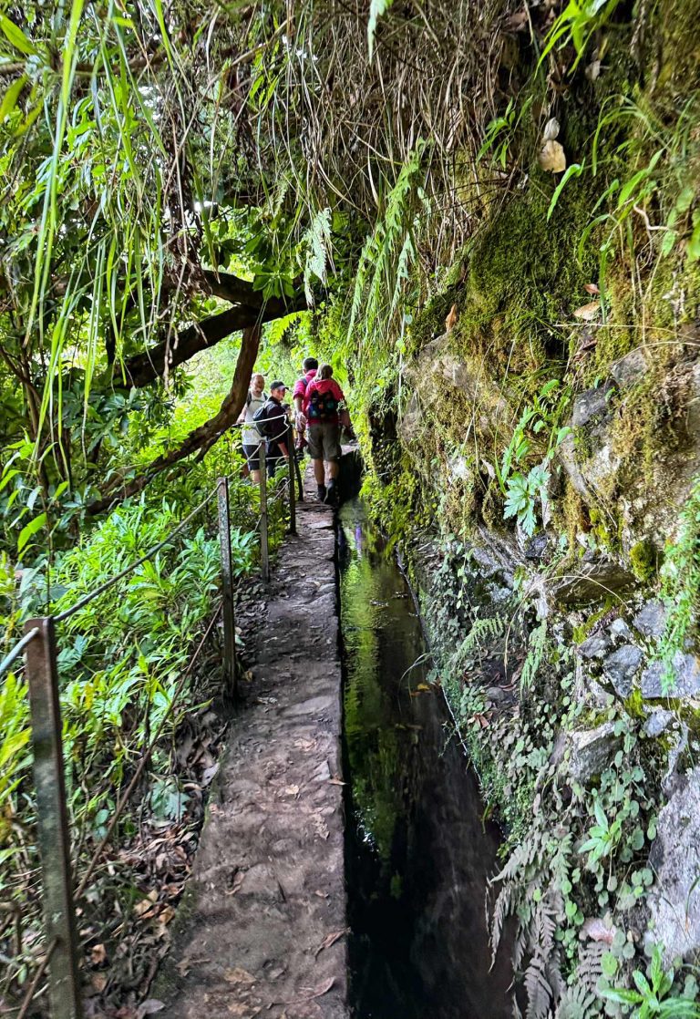 Levada do Caldeirão Verde (PR9) Madeira utazás családdal