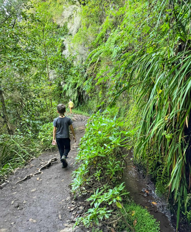 Levada do Caldeirão Verde (PR9) Madeira túrázás családdal