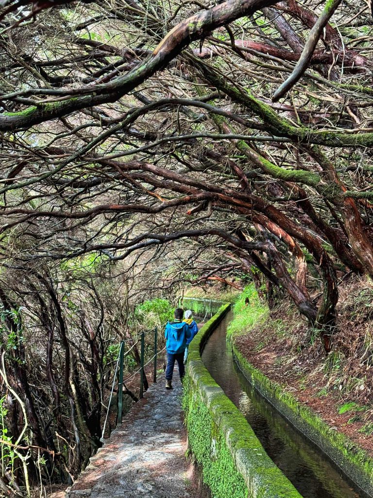 Levada 25 fontes Madeira túrázás gyerekkel