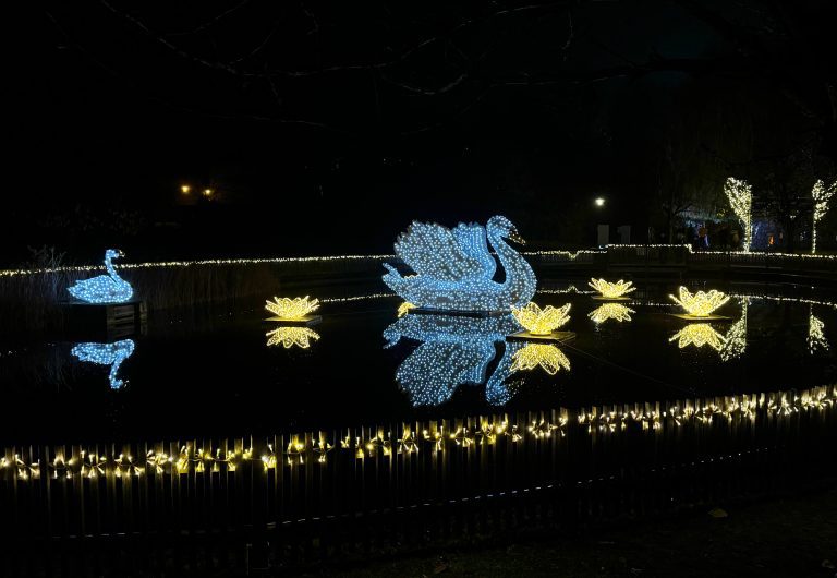 ausztria karácsonyi vásár schloss hof kastély gyerekkel hattyú fények