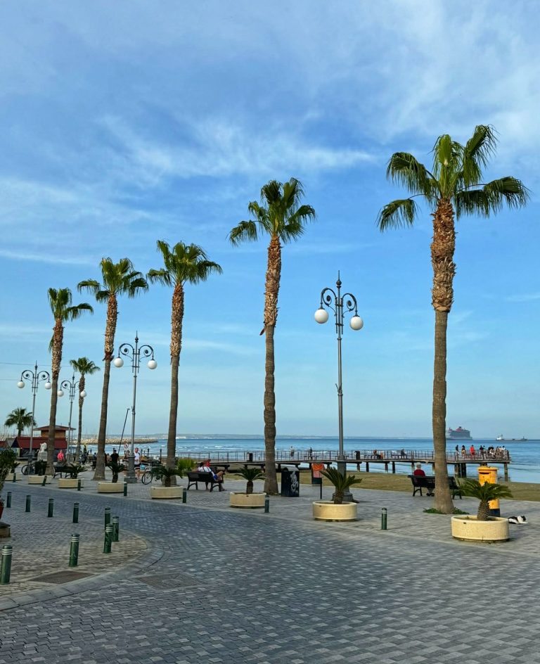 Larnaca pálmafás sétány Ciprus nyaralás gyerekkel