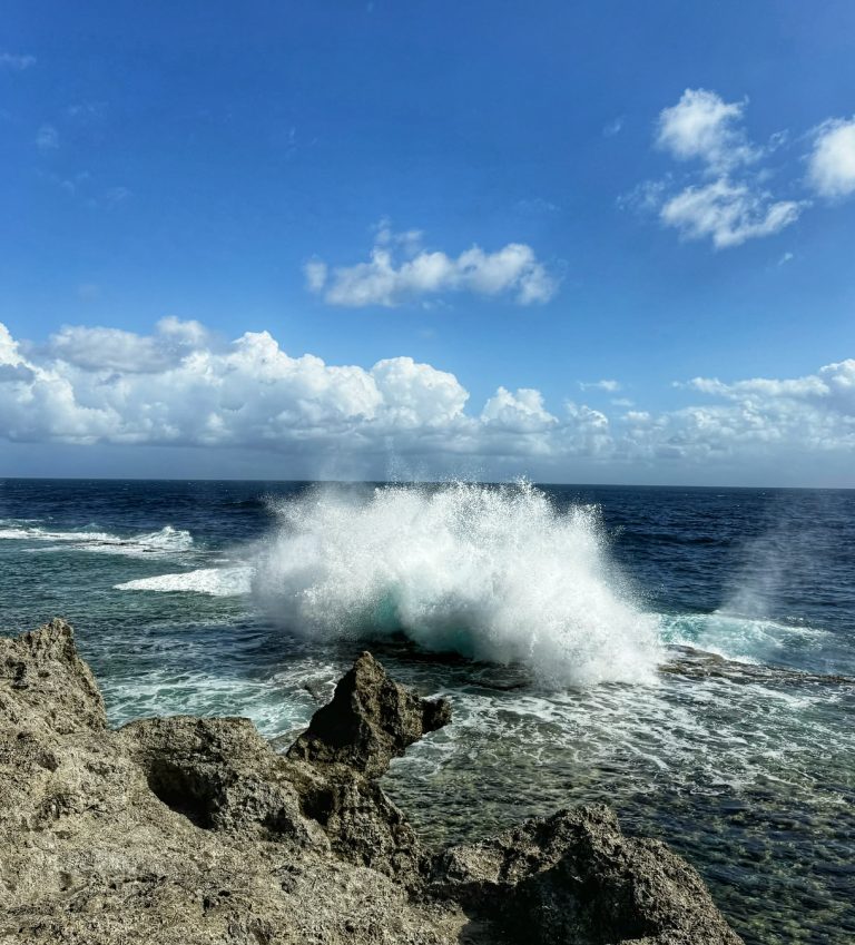 blowholes tonga gyerekkel utazás
