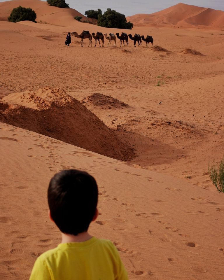 Marokkó Merzouga Szahara tevék gyerekkel