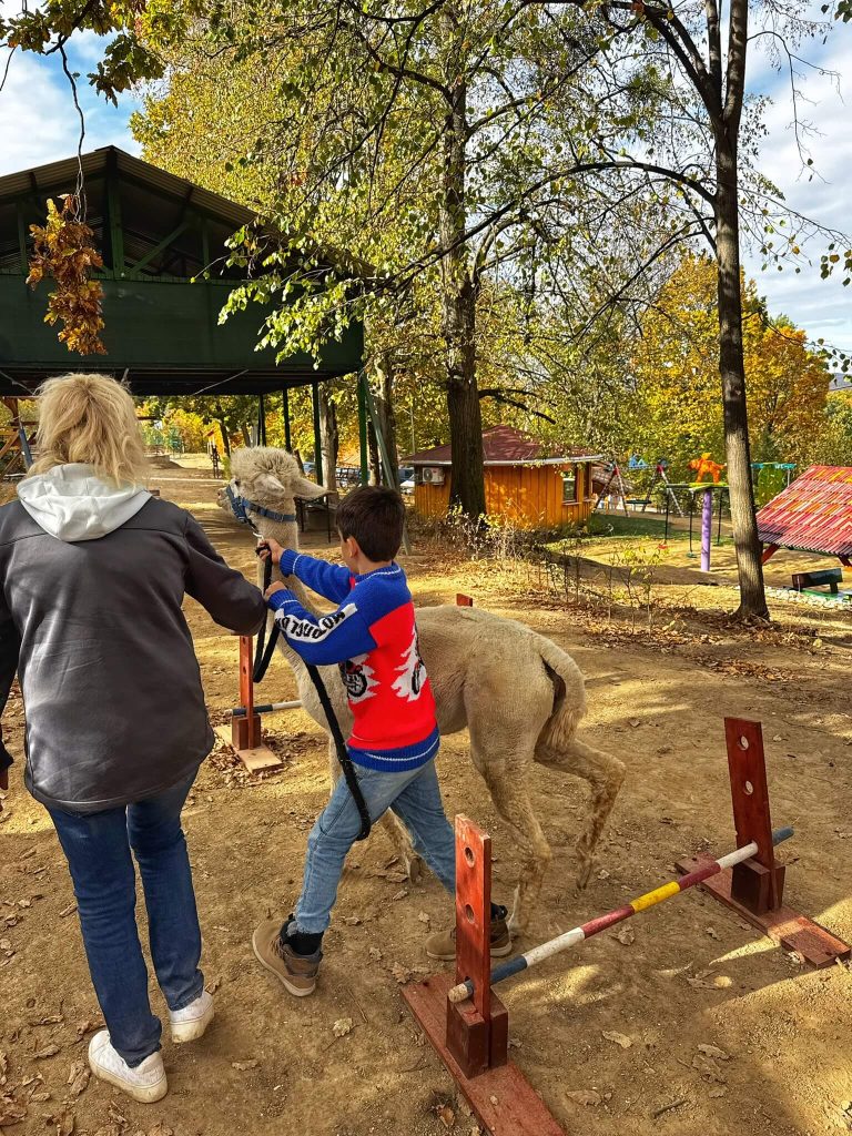 gyerekbarát szállás miskolc alpaka farm természetközeli