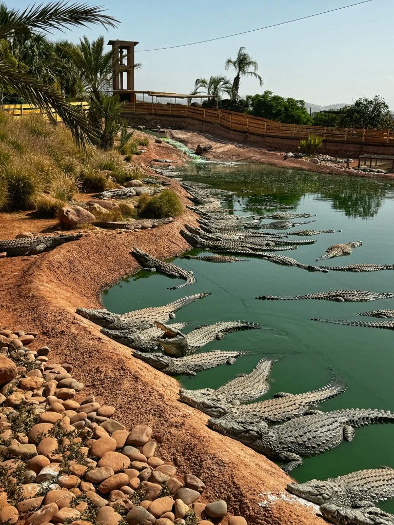 Crocopark Agadir gyerekkel Marokkó programok látnivalók