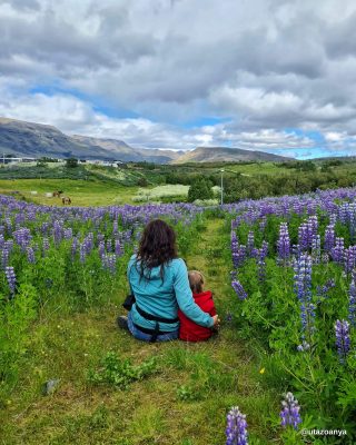 Izland látnivalók babával
